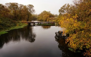 деревья, река, природа, мост, осень