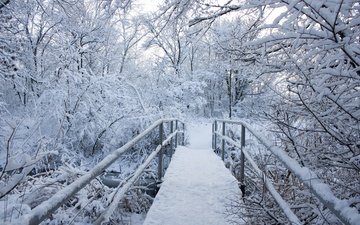 деревья, снег, природа, зима, пейзаж, мост