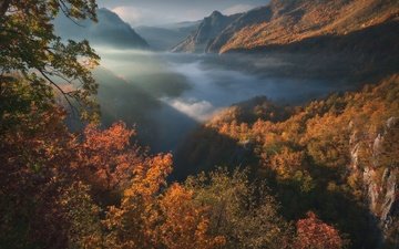 горы, лес, осень, ущелье, черногория