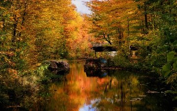 лес, парк, мост, осень, пруд