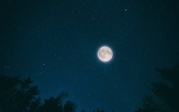 небо, ночь, деревья, природа, звезды, луна