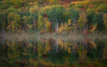 озеро, лес, осень