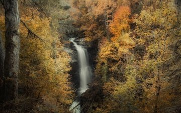 природа, лес, скала, водопад, осень, поток