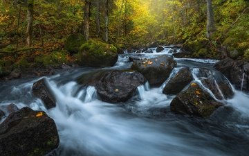 река, камни, лес, осень, норвегия, каскад