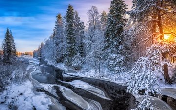 река, лес, зима, утро