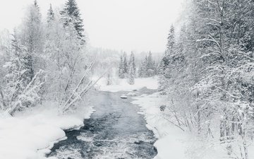 река, лес, зима