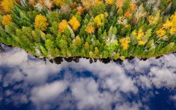 река, лес, отражение, осень