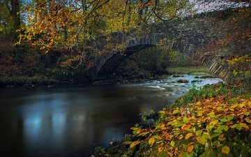 река, листья, ветки, мост, осень, англия, lake district, камбрия