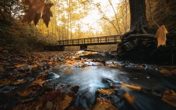 река, мост, осень