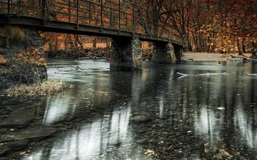 река, природа, мост, осень