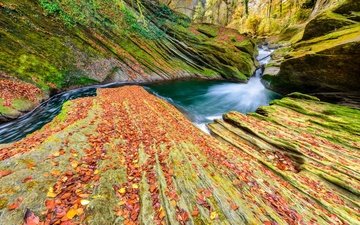 река, скалы, осень, франция, савойя