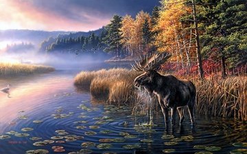 арт, озеро, туман, рассвет, осень, птицы, цапля, лось
