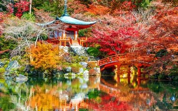 деревья, листья, парк, киото, японии