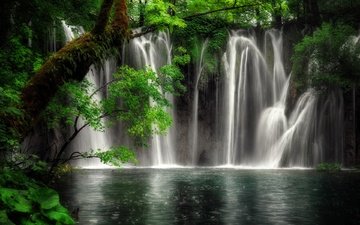 деревья, вода, природа, скала, водопад, растительность