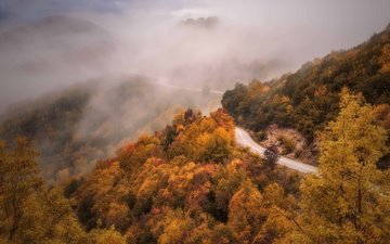 дорога, деревья, горы, лес, туман, склон, осень, даль, дымка, шоссе, краски осени, желтая листва