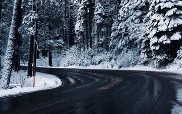 дорога, деревья, снег, зима