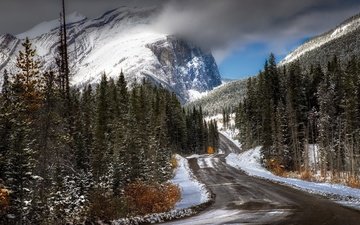 дорога, горы, природа, зима