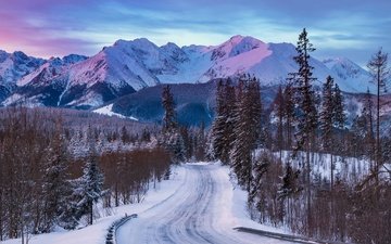дорога, деревья, горы, снег, лес, зима
