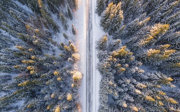 дорога, снег, лес, зима, ели