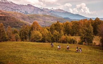горы, лес, осень, лошади, кони