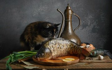 кот, кошка, рыба, карп