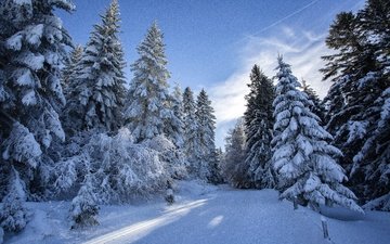 дорога, облака, деревья, снег, лес, зима, иней, ели, синева, сугробы, зимняя, заснеженный, зимний пейзаж