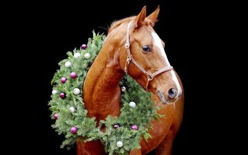 лошадь, новый год, хвоя, портрет, шарики, черный фон, рыжий, рождество, конь, елочные игрушки, венок