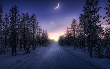 небо, дорога, деревья, снег, лес, зима, месяц