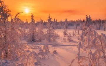 небо, солнце, снег, природа, закат, зима, пейзаж, рассвет