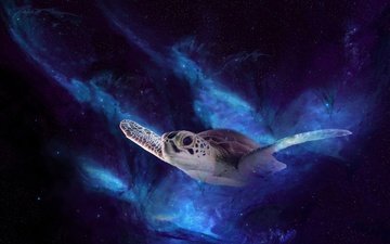ночь, космос, полет, черепаха, рендеринг, морская черепаха