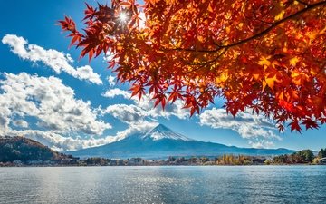 озеро, листья, гора, осень, япония, фуджи, фудзияма, гора фудзи, озеро кавагутико