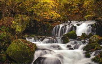 река, камни, лес, панорама, водопад, осень, япония, мох, японии, каскад, нагано