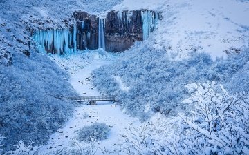река, снег, лес, зима, скала, мост, исландия, свартифосс, замерзший водопад