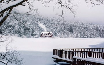 снег, лес, зима, дом, турция