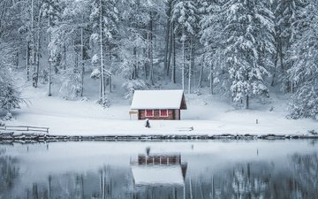 снег, лес, зима, отражение, водоем, домик