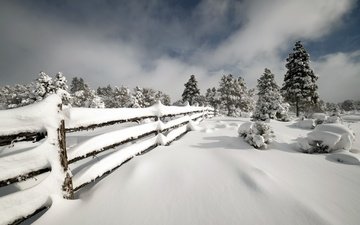снег, зима, забор