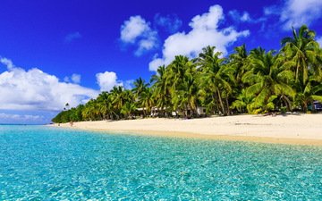 palmen, ozean, тропический остров