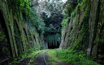 деревья, железная дорога, природа, мох, тоннель