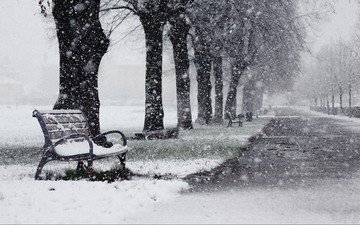 деревья, снег, зима, снежинки, парк, скамейки, снегопад