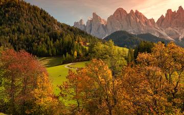 трава, деревья, горы, природа, осень, италия, доломитовые альпы, luca bravo, puez-geisler nature park