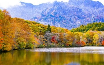 деревья, озеро, горы, природа, отражение, осень