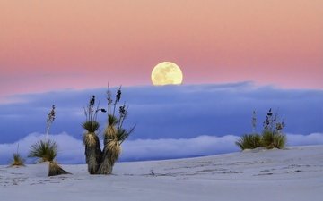 пустыня, луна, сша, нью-мексико, white sands national monume