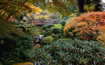 природа, ручей, кусты, мост, сад, сша, японский сад, portland japanese garden