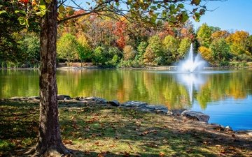 деревья, парк, осень, фонтан, пруд, центральный парк, миссури