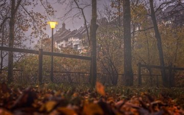 деревья, туман, осень, швейцария, дома, фонарь, здания, опавшие листья