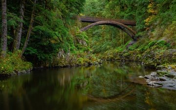 природа, мост