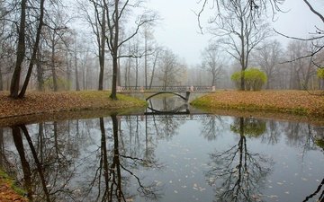 отражение, мост, осень, речка, царское село
