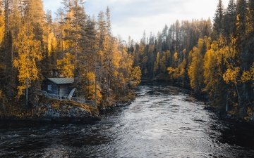 река, лес, осень, дом