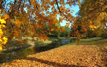 деревья, река, листья, парк, ветки, листва, осень, чехия, kostelec nad orlici, костелец-над-орлици
