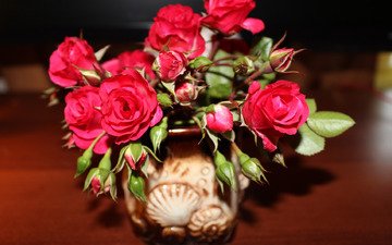цветок, роза, букет, красная роза